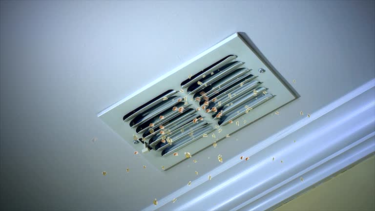 Best Air Duct Cleaning Near Me  in Fort Myers Shores, FL